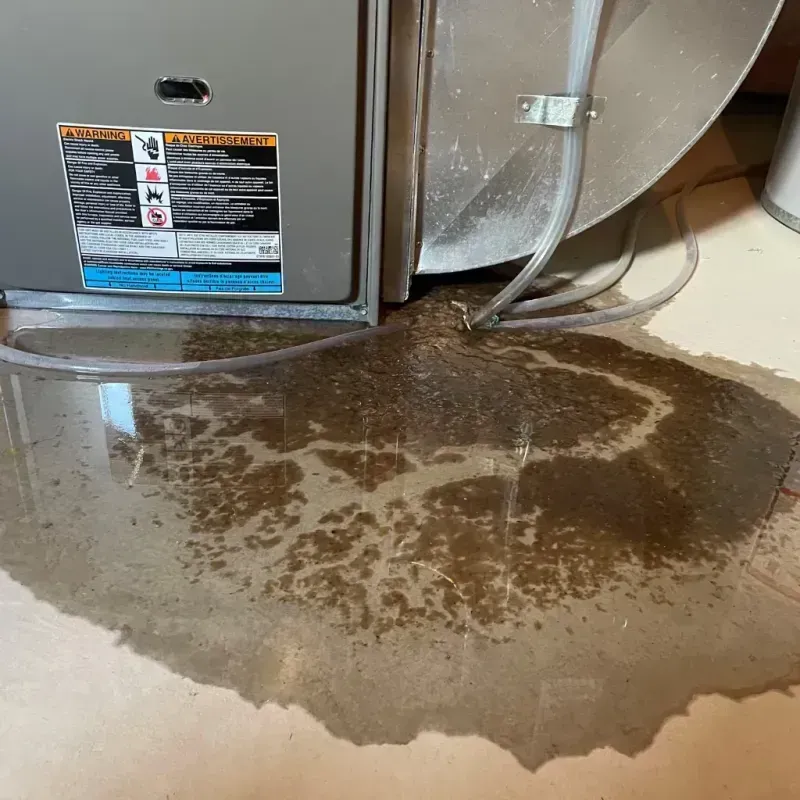 Appliance Leak Cleanup in Atascosa County, TX